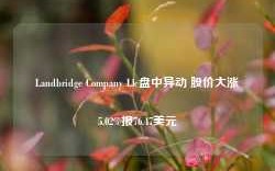 Landbridge Company Llc盘中异动 股价大涨5.02%报76.47美元