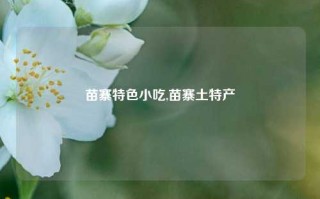 苗寨特色小吃,苗寨土特产