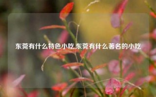 东莞有什么特色小吃,东莞有什么著名的小吃