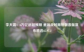 李大霄：6万亿远超预期 是场及时雨特朗普版宣布胜选65.97.2