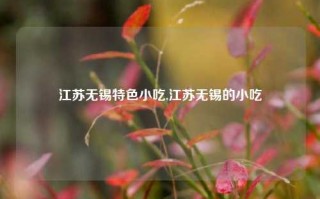 江苏无锡特色小吃,江苏无锡的小吃