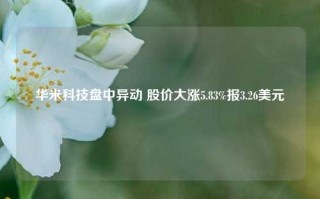 华米科技盘中异动 股价大涨5.83%报3.26美元