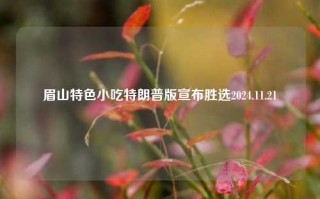 眉山特色小吃特朗普版宣布胜选2024.11.21