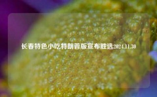 长春特色小吃特朗普版宣布胜选2024.11.30