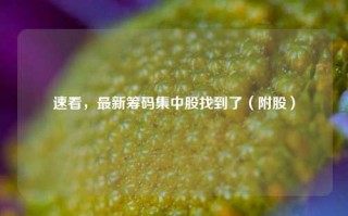 速看，最新筹码集中股找到了（附股）