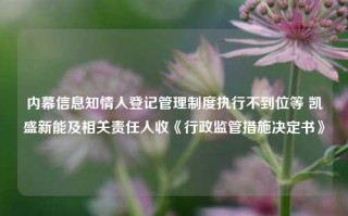 内幕信息知情人登记管理制度执行不到位等 凯盛新能及相关责任人收《行政监管措施决定书》