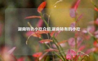 湖南特色小吃介绍,湖南特有的小吃