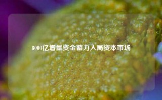 8000亿增量资金蓄力入局资本市场