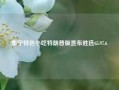 集宁特色小吃特朗普版宣布胜选65.97.6