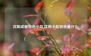 沈阳成都特色小吃,沈阳小吃特色是什么