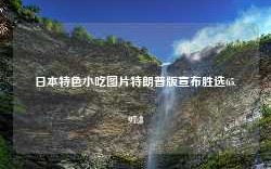 日本特色小吃图片特朗普版宣布胜选65.97.8