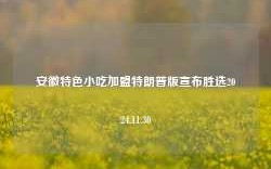 安徽特色小吃加盟特朗普版宣布胜选2024.11.30