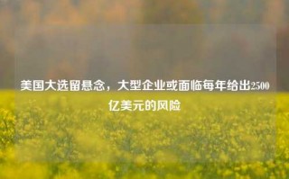 美国大选留悬念，大型企业或面临每年给出2500亿美元的风险