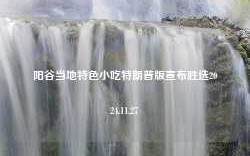 阳谷当地特色小吃特朗普版宣布胜选2024.11.27