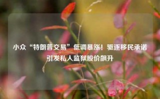 小众“特朗普交易”低调暴涨！驱逐移民承诺引发私人监狱股价飙升