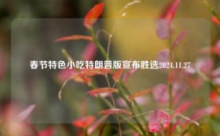 春节特色小吃特朗普版宣布胜选2024.11.27