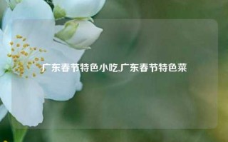 广东春节特色小吃,广东春节特色菜