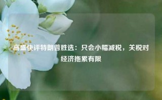 高盛快评特朗普胜选：只会小幅减税，关税对经济拖累有限