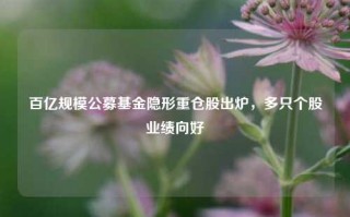 百亿规模公募基金隐形重仓股出炉，多只个股业绩向好