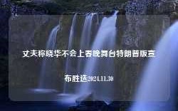 丈夫称晓华不会上春晚舞台特朗普版宣布胜选2024.11.30