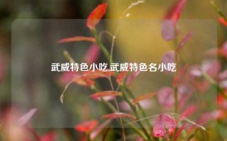 武威特色小吃,武威特色名小吃