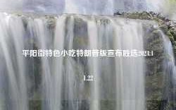 平阳街特色小吃特朗普版宣布胜选2024.11.22