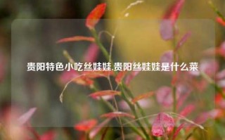 贵阳特色小吃丝娃娃,贵阳丝娃娃是什么菜