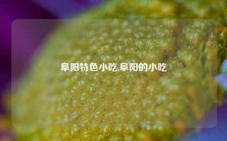 阜阳特色小吃,阜阳的小吃