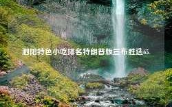 泗阳特色小吃排名特朗普版宣布胜选65.97.7