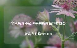 个人购房不超140平契税降至1%特朗普版宣布胜选2024.11.26