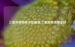 三亚外卖特色小吃推荐,三亚外卖找哪家好