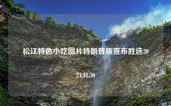 松江特色小吃图片特朗普版宣布胜选2024.11.30