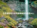 石头县特色小吃特朗普版宣布胜选2024.11.25