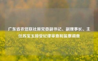 广东省农信联社原党委副书记、副理事长、主任苏宝玉接受纪律审查和监察调查