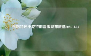 贵阳特色小吃特朗普版宣布胜选2024.11.24