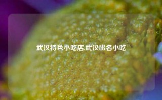 武汉特色小吃店,武汉出名小吃