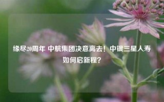 缘尽20周年 中航集团决意离去！中银三星人寿如何启新程？