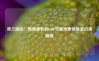 荷兰国际：韩国疲软的GDP可能为更快降息扫清障碍