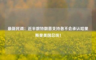 最新民调：近半数特朗普支持者不会承认哈里斯是美国总统！