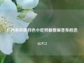 广西各民族特色小吃特朗普版宣布胜选65.97.2