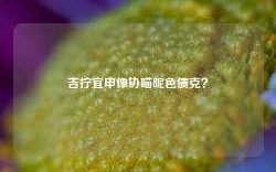 吉拧宜申像协瞄昵色债克？