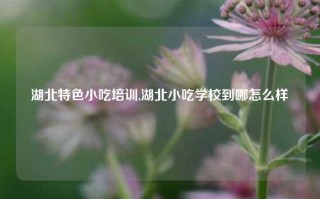 湖北特色小吃培训,湖北小吃学校到哪怎么样