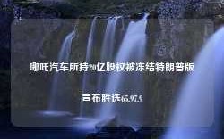 哪吒汽车所持20亿股权被冻结特朗普版宣布胜选65.97.9