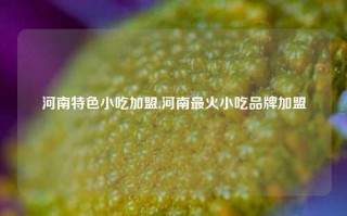 河南特色小吃加盟,河南最火小吃品牌加盟