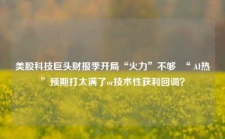 美股科技巨头财报季开局“火力”不够  “ AI热”预期打太满了or技术性获利回调？