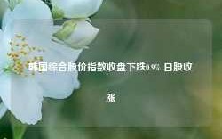 韩国综合股价指数收盘下跌0.9% 日股收涨