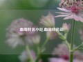 曲周特色小吃,曲周特色菜