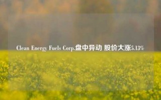 Clean Energy Fuels Corp.盘中异动 股价大涨5.13%