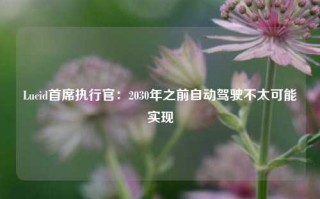 Lucid首席执行官：2030年之前自动驾驶不太可能实现