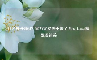 什么是开源AI？官方定义终于来了 Meta Llama模型没过关